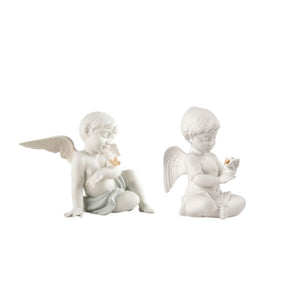 【新品】天使降臨瞬間+天使與花