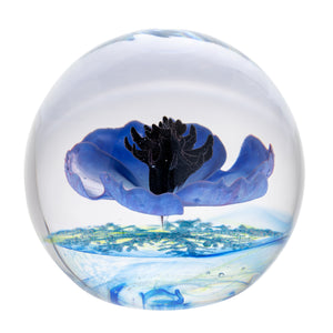 【新品】Caithness 藍色風信子文鎮